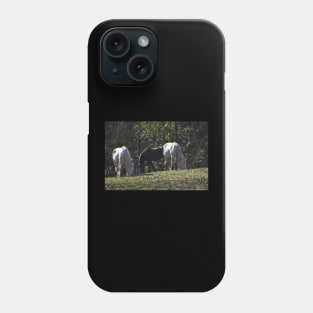 Wild Horse Herd Phone Case