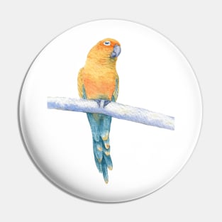 sun conure jendaya watercolor portrait 2 Pin