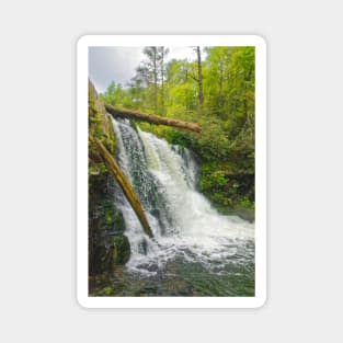 Abrams Falls, Great Smoky Mountains Magnet