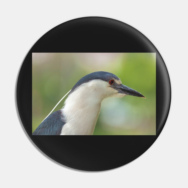 Heron Portrait Pin by jvnimages