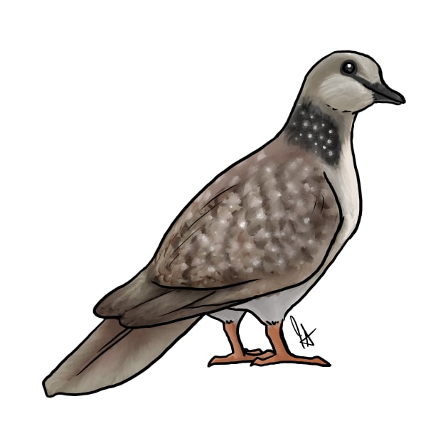 Bird - Dove - Spotted Dove by Jen's Dogs Custom Gifts and Designs