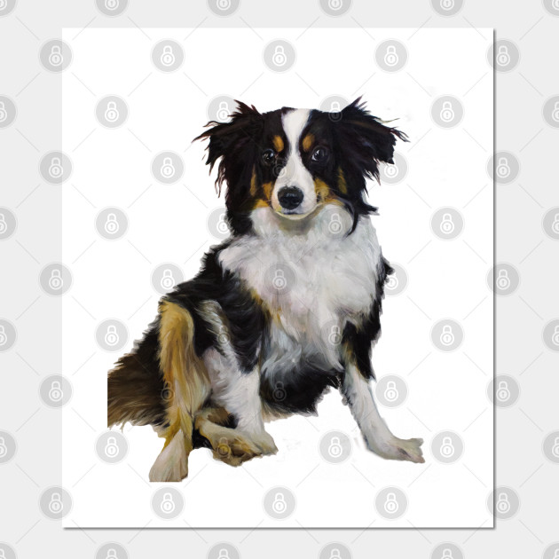 Mini Australian Shepherd Dogs Posters And Art Prints