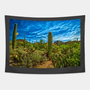 Saguaro National Park Tapestry