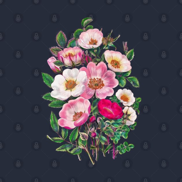 Wild roses by CatyArte