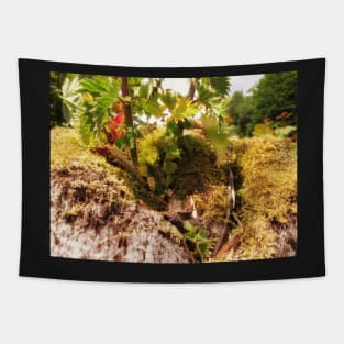 Pendle Fairy Garden Tapestry