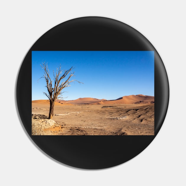 Tree in the desert. Pin by sma1050