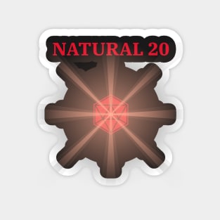 Natural 20 Magnet