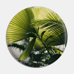 Beautiful Tropical Plant Pin