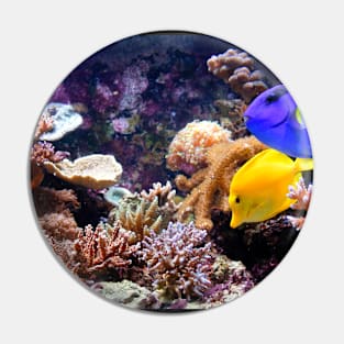 Tropical Fish on the Reef Pin