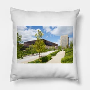 European Court of Justice, Luxembourg Pillow