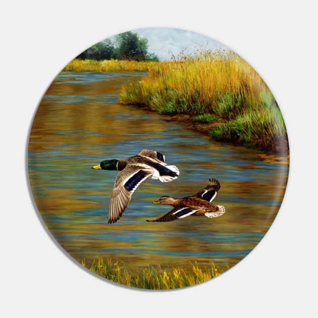 Mallard Ducks Flying Over Water in Wetlands Pin by csforest
