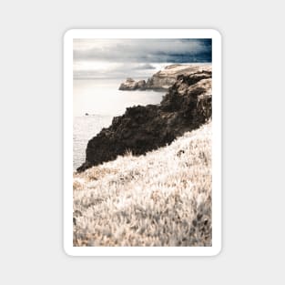 Coastal landscape Magnet