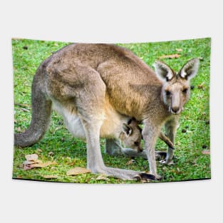 Eastern Grey Kangaroo with Joey Tapestry