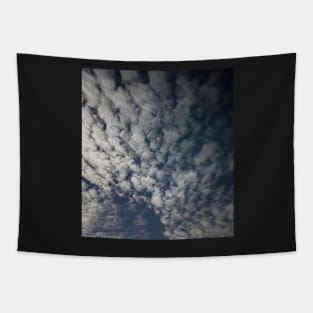 Cloud Tapestry