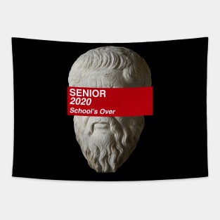 Senior 2020 Tapestry