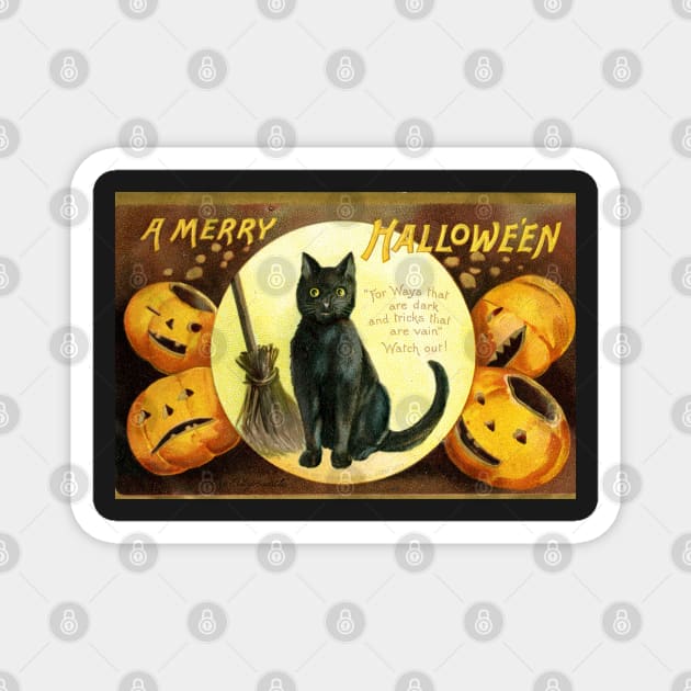 Victorian Halloween Black Cat with Pumpkins Greetings Magnet by forgottenbeauty