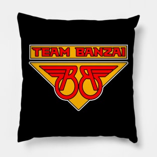 B. team wing logo Pillow