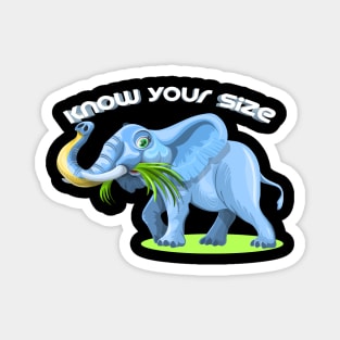 Know Your Size - Cool Colorful Elephant Magnet