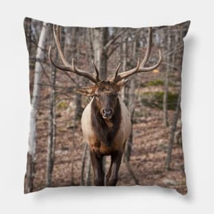 Elk Pillow