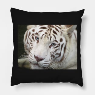 White Tiger Pillow