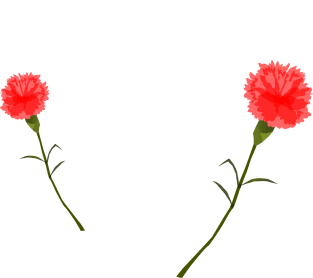 Dancing In The Dark Magnet