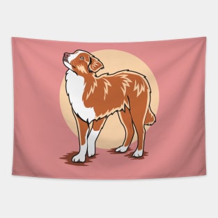 Nova Scotia Duck Tolling Retriever Looking At The Sky Tapestry