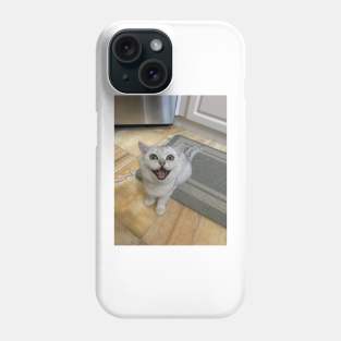 Scream cat Phone Case