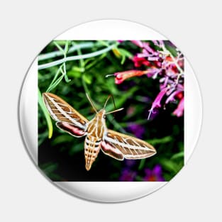 Hummingbird Moth Pin