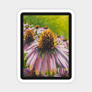 Pink Coneflowers Magnet