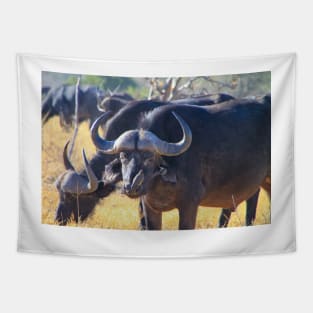 African Cape Buffalo with Two Oxpeckers on His Face Tapestry