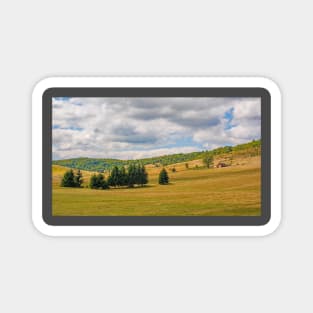 Summer Landscape Near Gornje Ratkovo, Bosnia Magnet