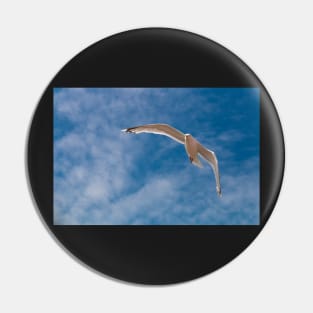 Gull Pin