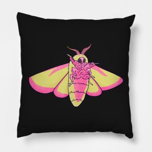 Rosy maple moth Pillow