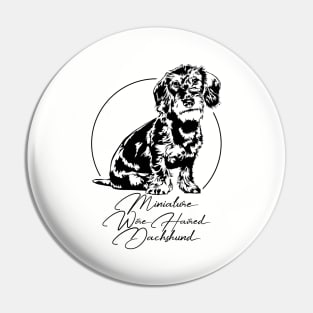 Funny Miniature Wire Haired Dachshund dog portrait Pin