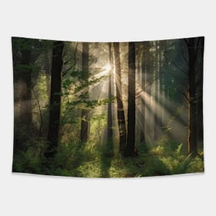 Sunshine on the dense forests after the rain Tapestry