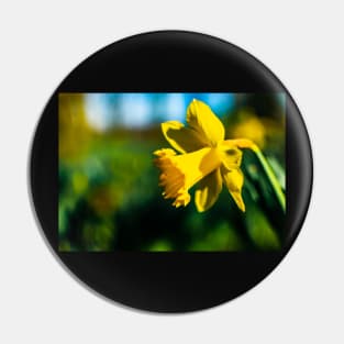 Daffodil Pin