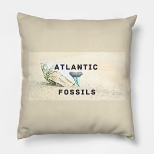 Conch Shell Atlantic Fossils Shark Tooth Pillow