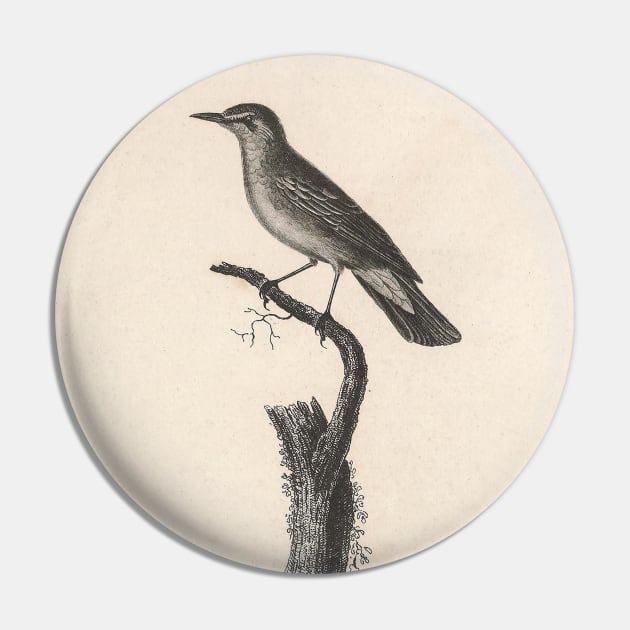 The Olive Warbler Pin by ptMaker