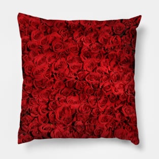 Whole Lotta Red Roses in Bloom Pillow