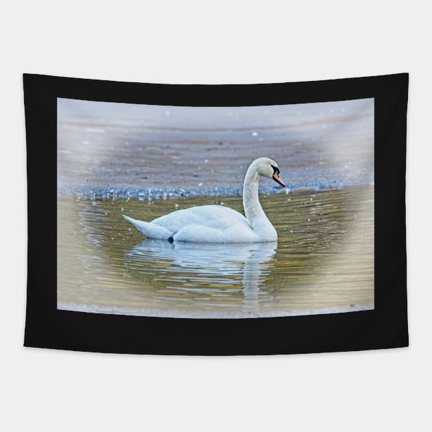 Swan Lake Tapestry by MartynUK