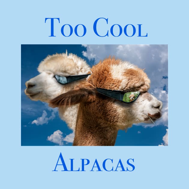 Too Cool Alpacas by robophoto