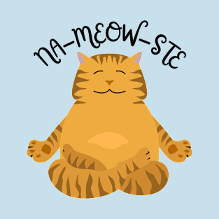 Na-meow-ste T-Shirt