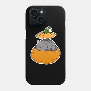 Pumpkin Cat Phone Case