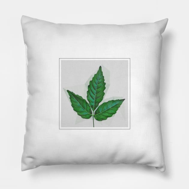 Real Floral Plant Leaf Pillow by Podi Shawna