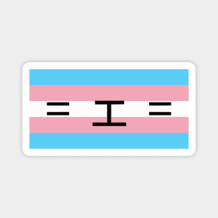 Trans Pride Cat Face Smiley Magnet