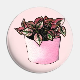 plant pot Pin