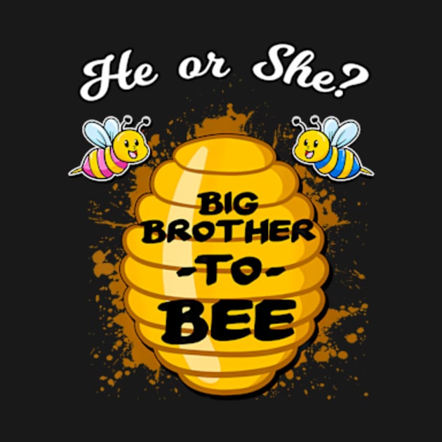 He Or She Big Brother To Bee Gender Baby Reveal Announcement by Eduardo