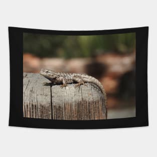 Lizard, Western Fence Lizard, Reptiles, Wildlife, Reptilian, Gifts Tapestry