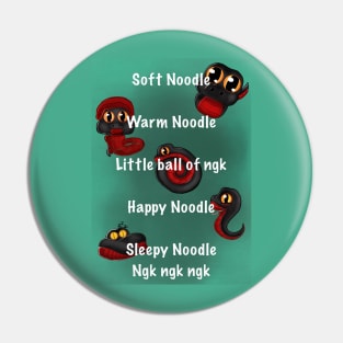 Soft Noodle Pin