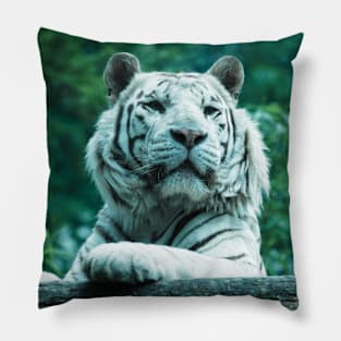 White Tiger (Cool) Pillow